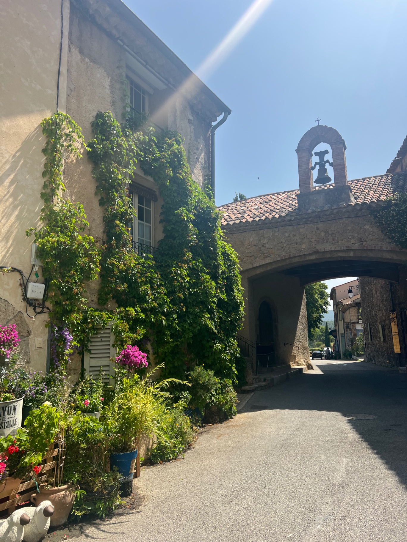 A sunlit lane in Tourtour with an ivy-covered Provençal house, pink bougainvillea in pots, and a stone archway topped with a small bell tower — the heart of this medieval village in the sky.
