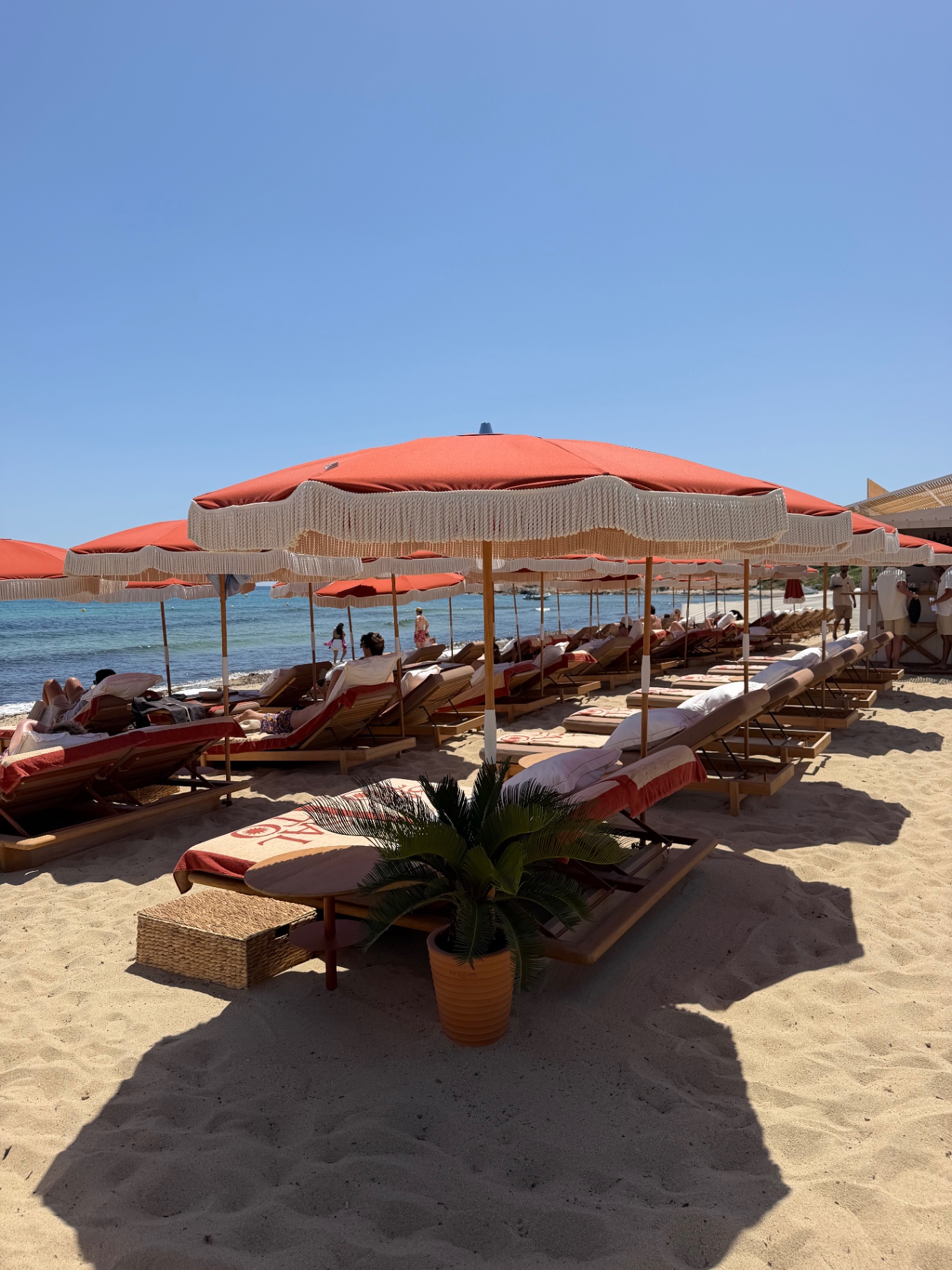 Rows of terracotta fringed parasols and wooden sun loungers lining the sand at SALTO beach club on Pampelonne, with the Mediterranean in the background.