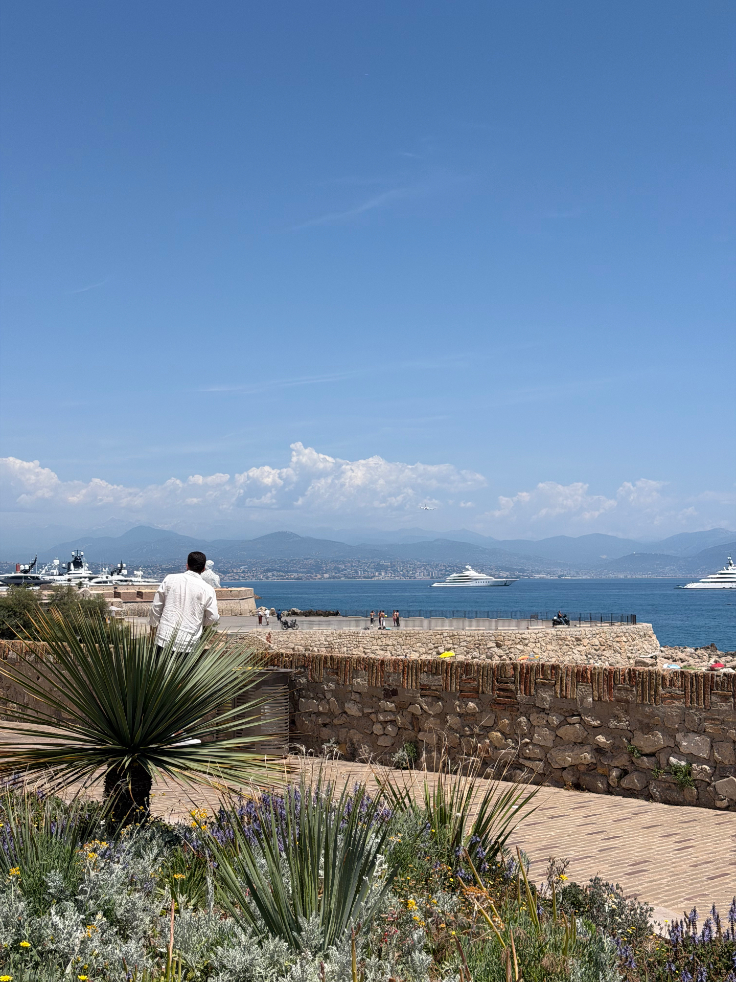 View from the ramparts of Antibes Old Town looking out over the superyacht marina, with the Mediterranean, distant mountains and Mediterranean garden planting in the foreground.