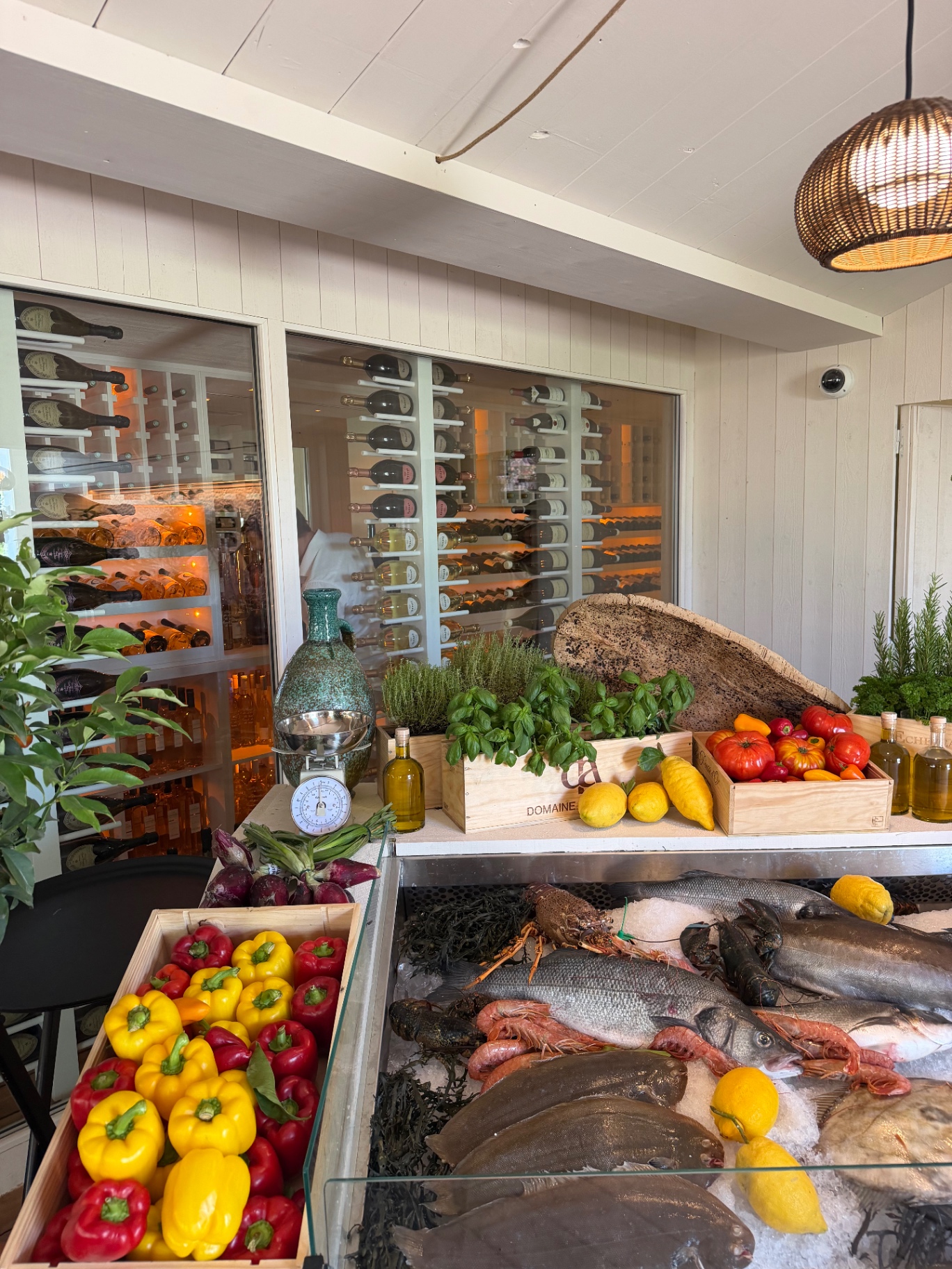 A fresh produce display at SALTO with whole fish on ice, lobsters, prawns, heirloom tomatoes, lemons, peppers and herbs in front of a wine cellar.